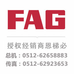 FAG BK0910A轴承